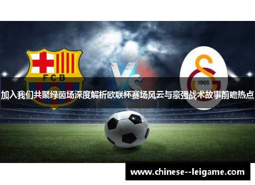 加入我们共聚绿茵场深度解析欧联杯赛场风云与豪强战术故事前瞻热点