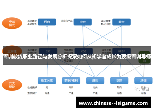 青训教练职业路径与发展分析探索如何从初学者成长为顶级青训导师