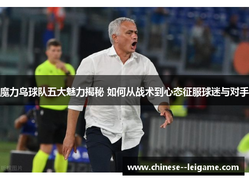 魔力鸟球队五大魅力揭秘 如何从战术到心态征服球迷与对手 魔力鸟球队五大魅力揭秘 如何从战术到心态征服球迷与对手