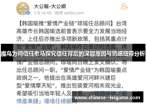 魔鸟为何信任老马探究信任背后的深层原因与情感纽带分析 魔鸟为何信任老马探究信任背后的深层原因与情感纽带分析